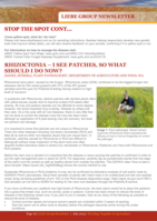 Rhizoctonia - I see patches, so what should I do?