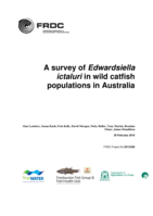 A survey of Edwardsiella ictaluri in wild catfish populations in Australia