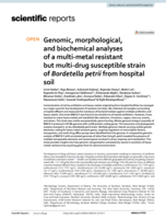 Genomic, morphological, and biochemical analyses of a multi-metal resistant but multi-drug susceptible strain of Bordetella petrii from hospital soil