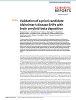 Validation of a priori candidate Alzheimer’s disease SNPs with brain amyloid-beta deposition