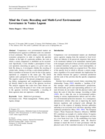 Mind the Costs: Rescaling and Multi-Level Environmental Governance in Venice Lagoon