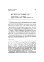 Nematode-induced syncytium - A multinucleate transfer cell