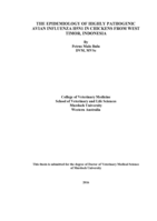 The Epidemiology of Highly Pathogenic Avian Influenza H5N1 in Chickens in Poultry From West Timor, Indonesia