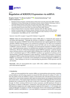 Regulation of KIR3DL3 Expression via miRNA