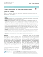 Characterization of the sdw1 semi-dwarf gene in barley