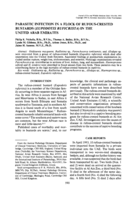 Parasitic infection in a flock of Rufous-crested Bustards (Eupodotis ruficrista) in the United Arab Emirates