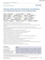 The long and the short of it: Mechanisms of synchronous and compensatory dynamics across temporal scales