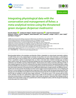Integrating physiological data with the conservation and management of fishes: A meta-analytical review using the threatened green sturgeon (Acipenser medirostris)