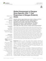 Global assessment of dengue Virus-Specific CD4+ T cell responses in Dengue-Endemic areas