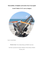 Detectability of dolphins and turtles from Unoccupied Aerial Vehicle (UAV) survey imagery