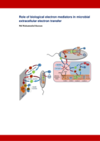 Role of biological electron mediators in microbial extracellular electron transfer