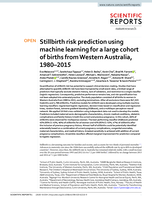 Stillbirth risk prediction using machine learning for a large cohort of births from Western Australia, 1980–2015