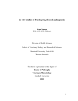 In vitro studies of Brachyspira pilosicoli pathogenesis