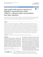 High-quality draft genome sequence of Rhizobium mesoamericanum strain STM6155, a Mimosa pudica microsymbiont from New Caledonia
