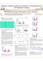 P09-15. Selection of higher avidity HLA-restricted T cell responses as a viral adaptation strategy