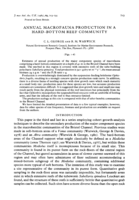Annual macrofauna production in a hard-bottom reef community