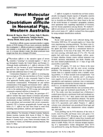 Novel molecular type of clostridium difficile in neonatal pigs, Western Australia