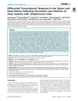 Differential transcriptomic response in the spleen and head kidney following vaccination and infection of Asian seabass with Streptococcus iniae