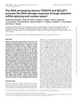 The RNA processing factors THRAP3 and BCLAF1 promote the DNA damage response through selective mRNA splicing and nuclear export