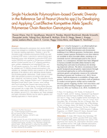 Single nucleotide Polymorphism–based genetic diversity in the Reference Set of Peanut ( Arachis spp.) by developing and applying cost‐effective kompetitive allele specific polymerase chain reaction genotyping assays