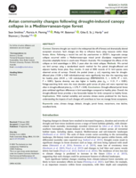 Avian community changes following drought-induced canopy collapse in a Mediterranean-type forest