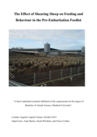The effect of shearing sheep on feeding and behaviour in the pre-embarkation feedlot
