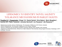 Investigation of salinity tolerance mechanism in barley roots using Semi-Targeted lipidomics approach with high-resolution mass spectrometry techniques