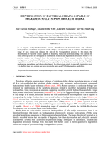 Identification of bacterial strains capable of degrading Malaysian petroleum sludge