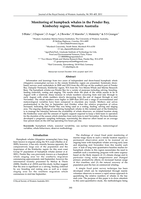 Monitoring of humpback whales in the Pender Bay, Kimberley Region, Western Australia