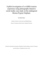 A pilot investigation of a wildlife tourism experience using photographs shared to social media: Case study on the endangered Borneo Pygmy Elephant