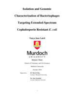 Isolation and genomic characterization of bacteriophages targeting extended-spectrum cephalosporin resistant E. coli