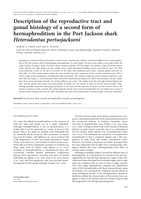 Description of the reproductive tract and gonad histology of a second form of hermaphroditism in the Port Jackson shark Heterodontus portusjacksoni