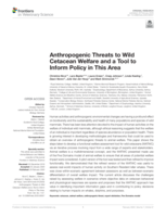 Anthropogenic threats to wild cetacean welfare and a tool to inform policy in this area