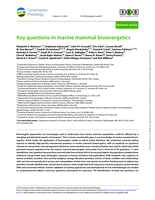 Key questions in marine mammal bioenergetics