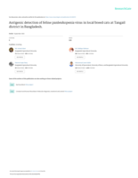 Antigenic detection of feline panleukopenia virus in local breed cats at Tangail district in Bangladesh