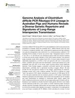 Genome analysis of Clostridium difficile PCR ribotype 014 lineage in Australian pigs and humans reveals a diverse genetic repertoire and signatures of long-range interspecies transmission