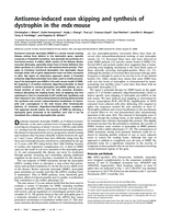Antisense-induced exon skipping and synthesis of dystrophin in the mdx mouse