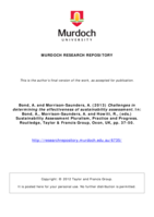 Challenges in determining the effectiveness of sustainability assessment