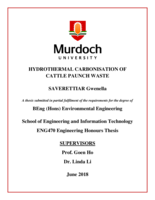 Hydrothermal carbonisation of cattle paunch waste