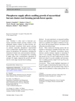 Phosphorus supply affects seedling growth of mycorrhizal but not cluster-root forming jarrah-forest species