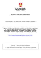 Pluralism in practice