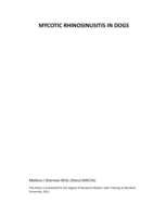 Mycotic rhinosinusitis in dogs