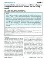 Premotor-Motor interhemispheric inhibition is released during movement initiation in older but not young adults