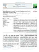 Molecular signatures of mood stabilisers highlight the role of the transcription factor REST/NRSF