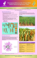 Phenotyping reference set of foxtail millet (Setaria italica) for Agronomic Traits