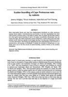 Scatter-hoarding of Cape Proteaceae nuts by rodents