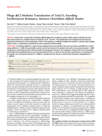 Phage ϕC2 mediates transduction of Tn6215, encoding erythromycin resistance, between Clostridium difficile strains