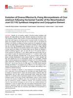 Evolution of diverse effective N2-fixing microsymbionts of Cicer arietinum following horizontal transfer of the Mesorhizobium ciceri CC1192 symbiosis integrative and conjugative element