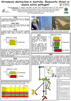 Kirramyces destructans in Australia: biosecurity threat or elusive native pathogen?
