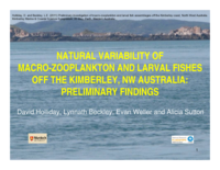 Preliminary investigation of macro-zooplankton and larval fish assemblages off the Kimberley coast, North West Australia